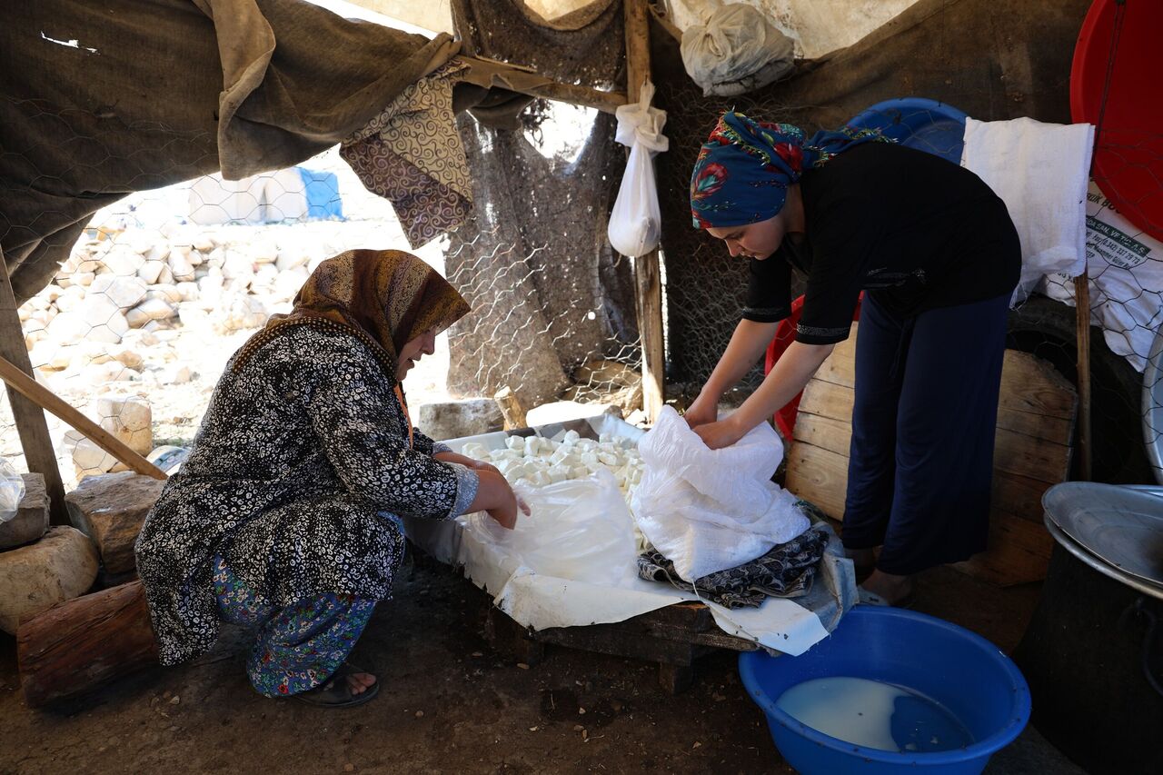 Kahramanmaraş Yedikuyular Yaylası’nda Yaylacılar Peynir Ve Çökelek Üretiyor (3)
