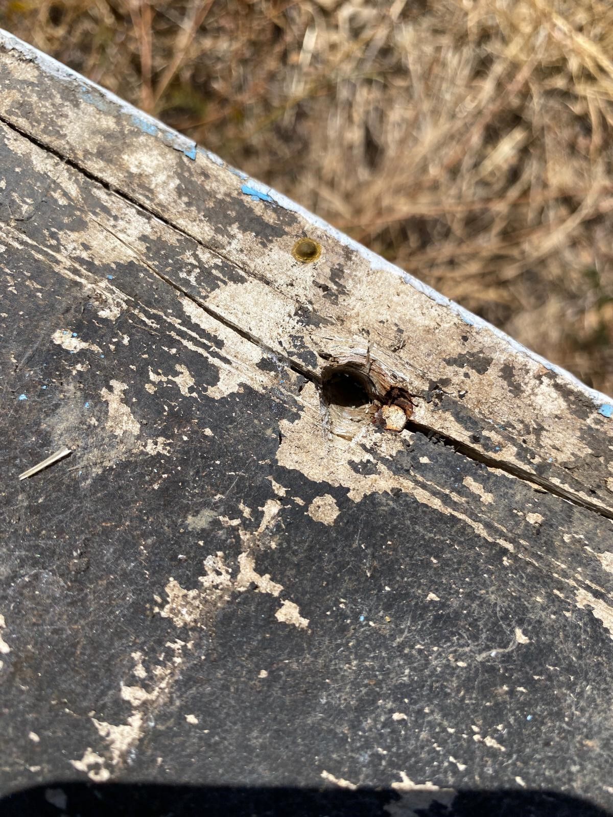 Kahramanmaraş’ta Ayı Kovanları Parçaladı 100 Bin Lira Zarar (3)