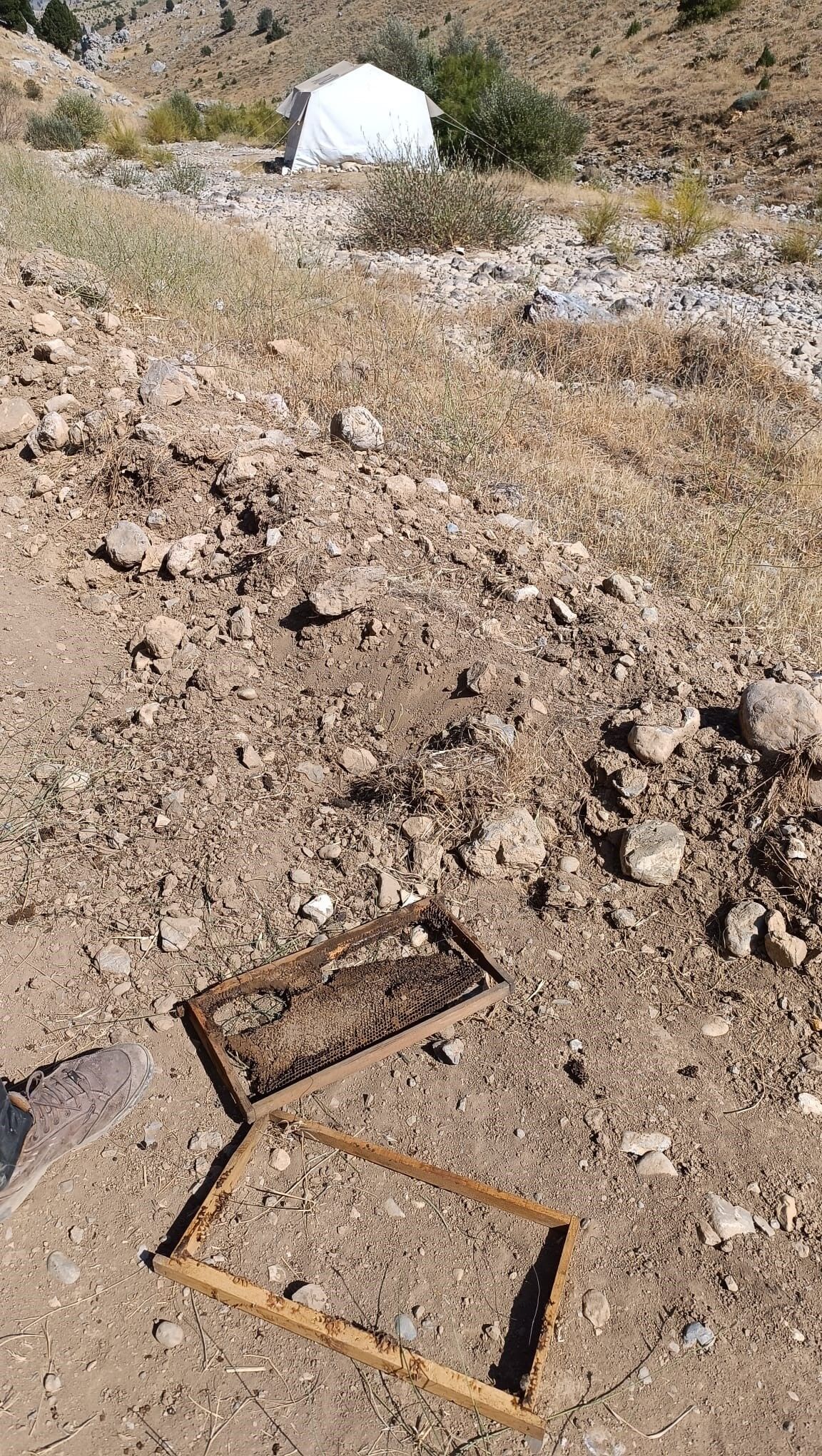 Kahramanmaraş’ta Ayı Kovanları Parçaladı 100 Bin Lira Zarar (6)