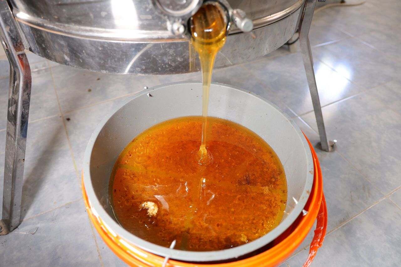 Kahramanmaraş’ta Bal Sezonu Bereketli Başladı (2)