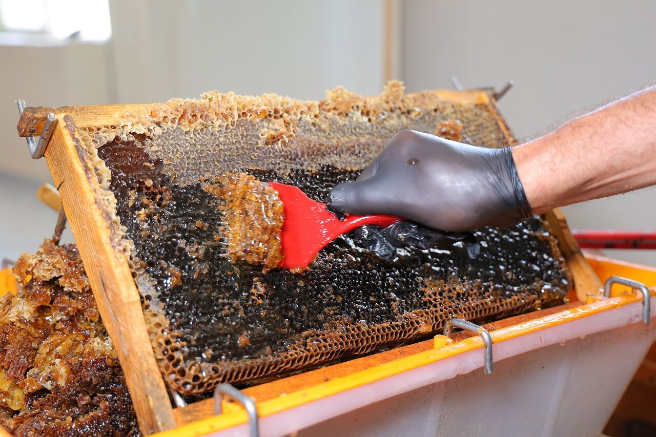 Kahramanmaraş’ta Bal Sezonu Bereketli Başladı (4)