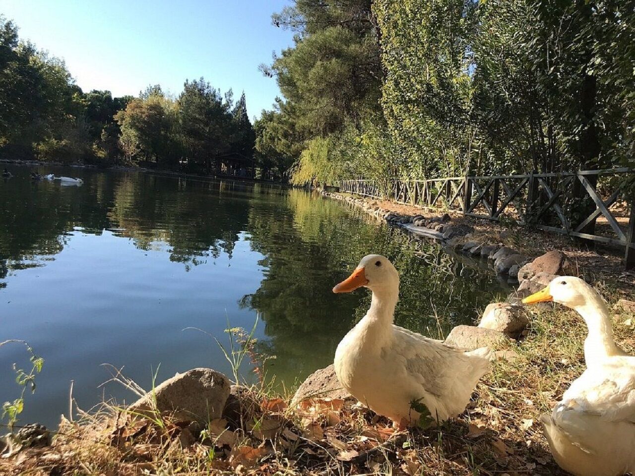 Kahramanmaraş’ta Hafta Sonu Ailece Keşfedilecek Yerler (9)