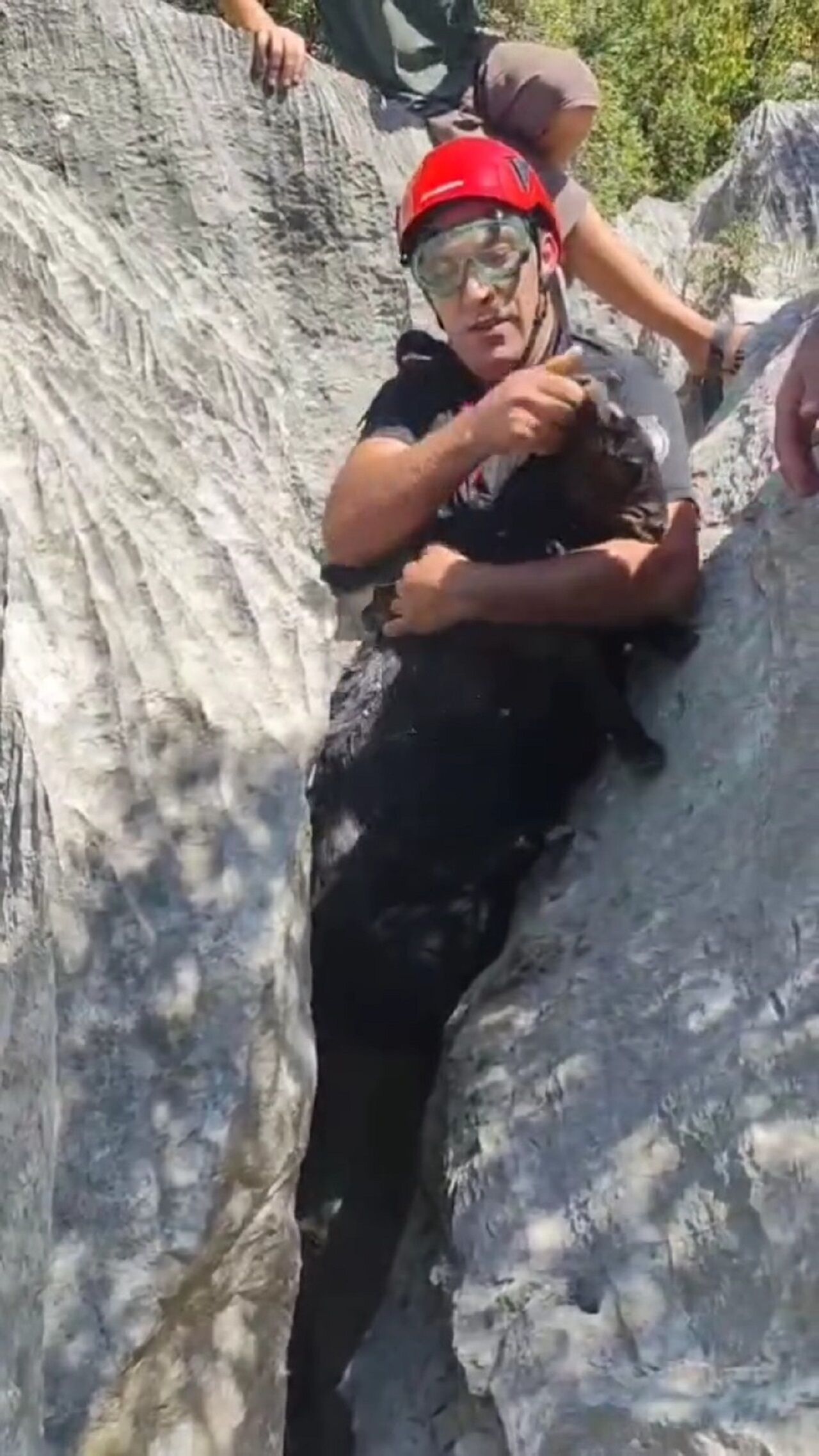 Kahramanmaraş’ta Kayalıkta Sıkışan Keçi Kurtarıldı (1)