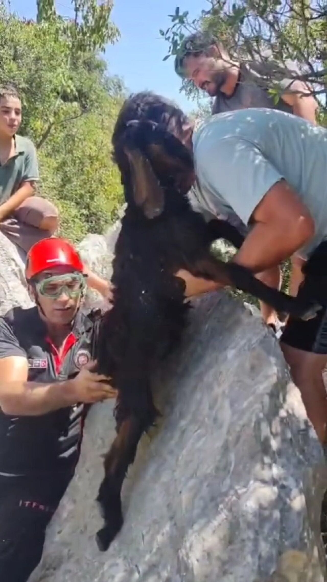 Kahramanmaraş’ta Kayalıkta Sıkışan Keçi Kurtarıldı (2)