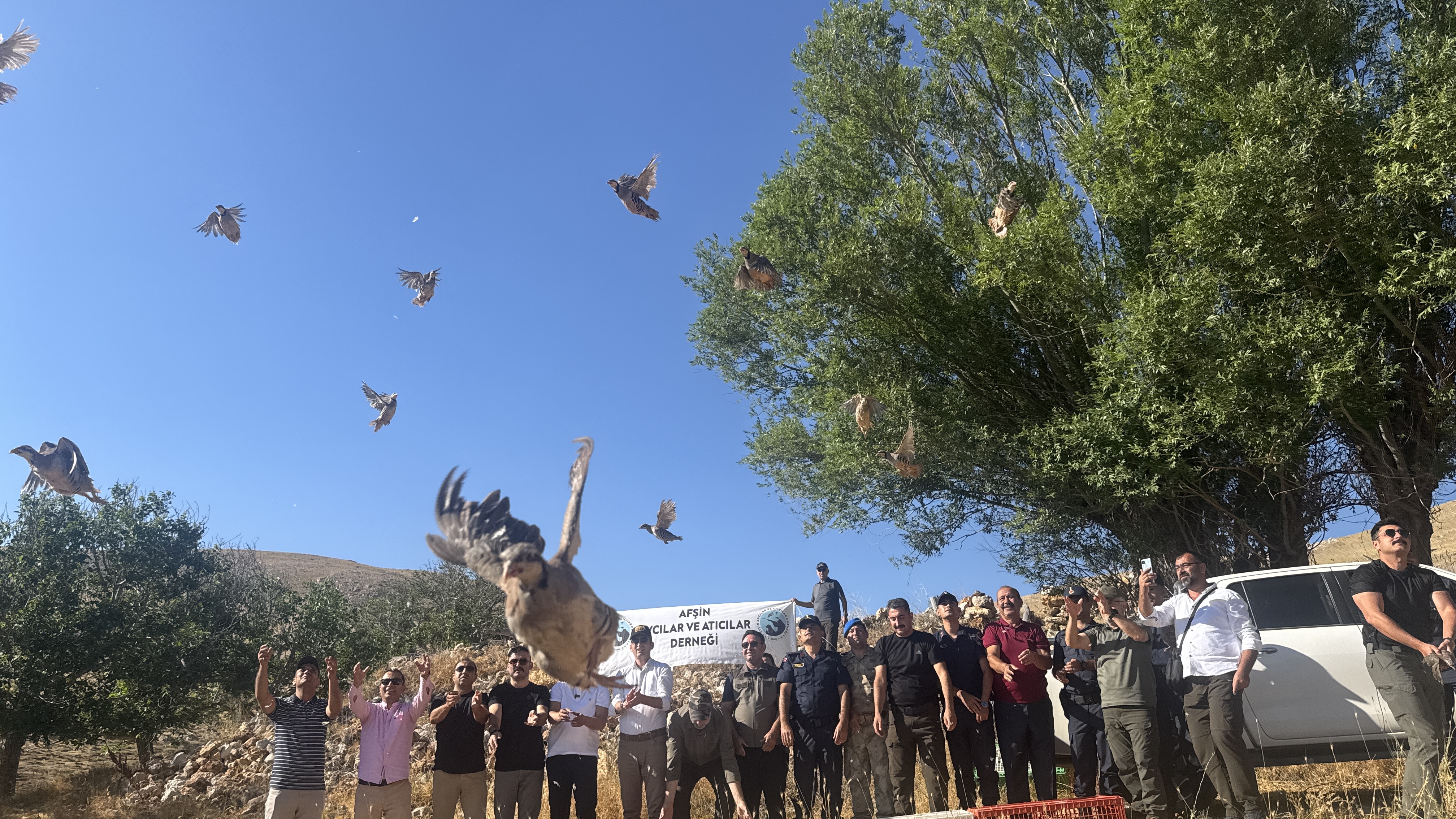 Kahramanmaraş'ta Keklikler Dronlarla İzleniyor (4)