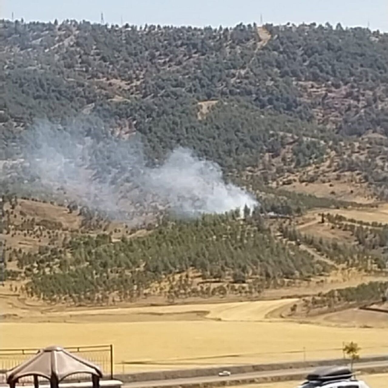 Kahramanmaraş’ta Orman Yangını İtfaiyeyi Harekete Geçirdi (3)