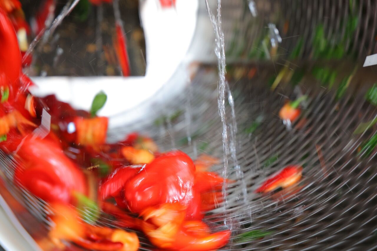 Kahramanmaraş’ta Salça Telaşı Başladı Tarladan Sofralara Yolculuk (2)