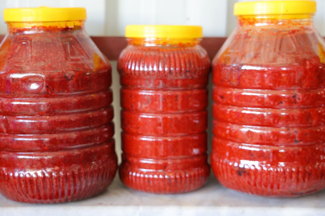 Kahramanmaraş’ta Salça Telaşı Başladı Tarladan Sofralara Yolculuk (4)