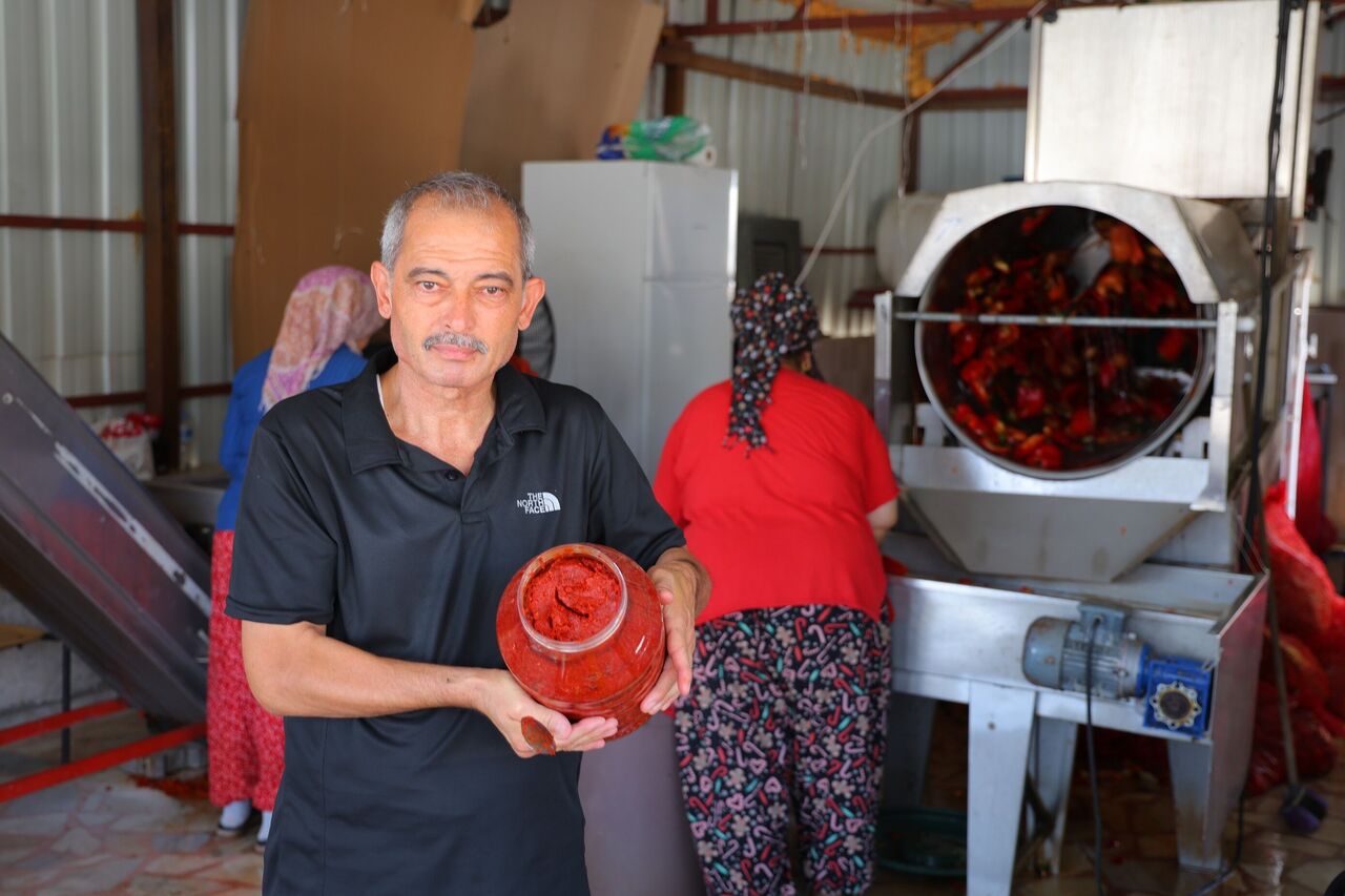 Kahramanmaraş’ta Salça Telaşı Başladı Tarladan Sofralara Yolculuk (5)