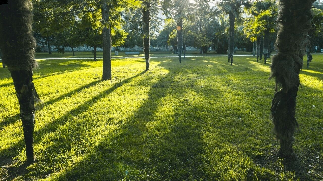 Kahramanmaraş’ta Yaz Sıcaklarıyla Başa Çıkan Vatandaşların 5 Pratik Yolunu Gösteren Renkli Ve Dikkat Çekici Bir Haber Illüstrasyonu 1) Camlara Islak Tül Veya Havlu Asan Ev, 2) Sık Duş Alan Veya Is (4)