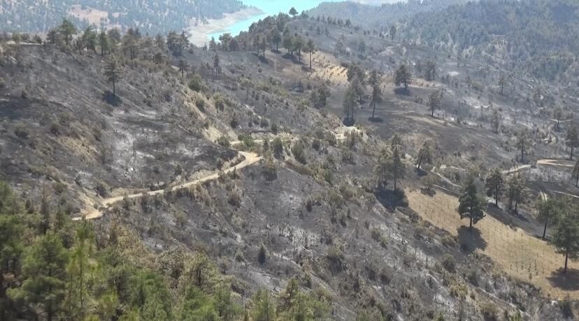 Kahramanmaraş'taki Orman Yangını Bir Hayatı Daha Kararttı (1)