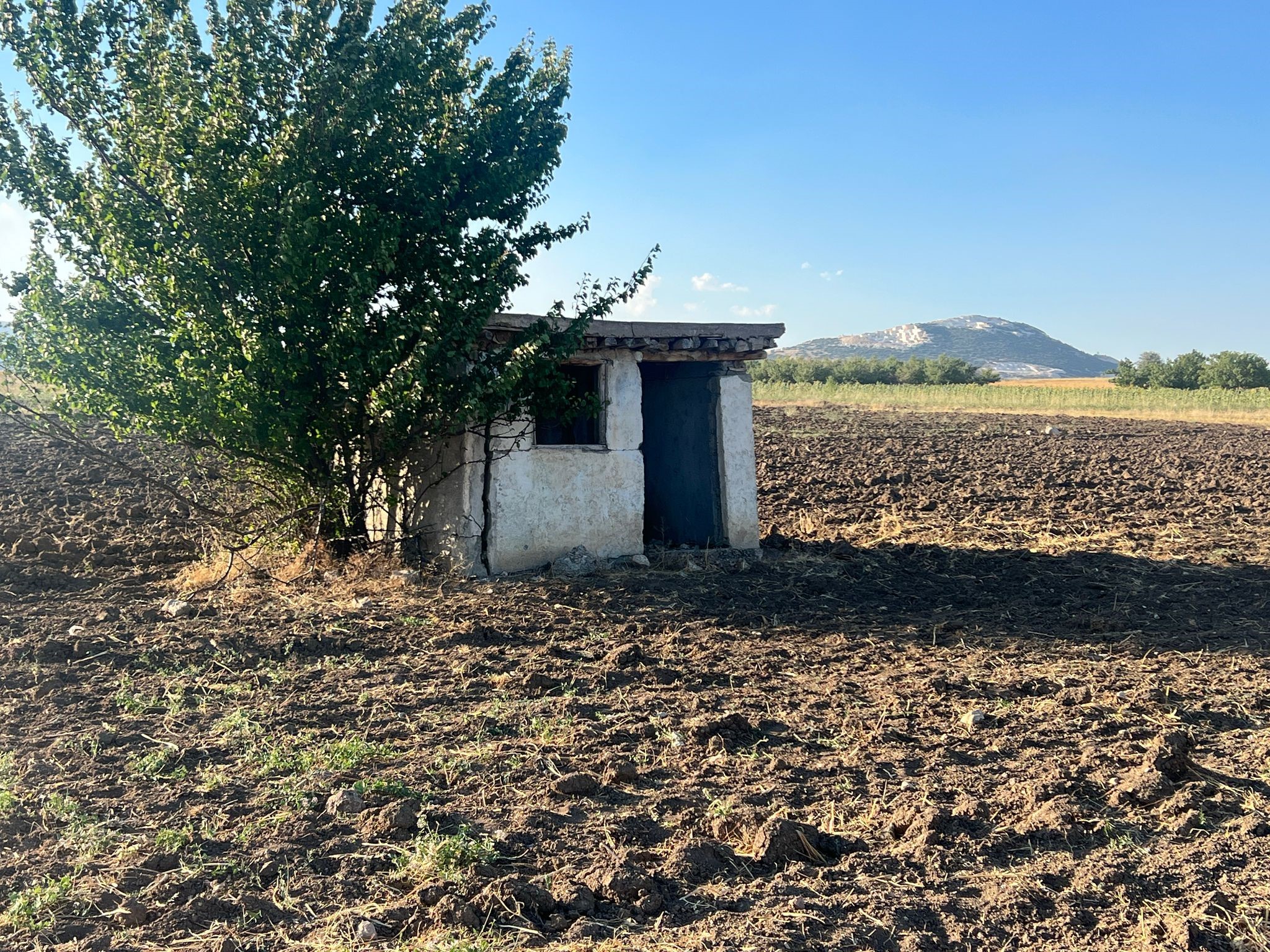 Kayıp Çoban Kulübede Bulundu (2)