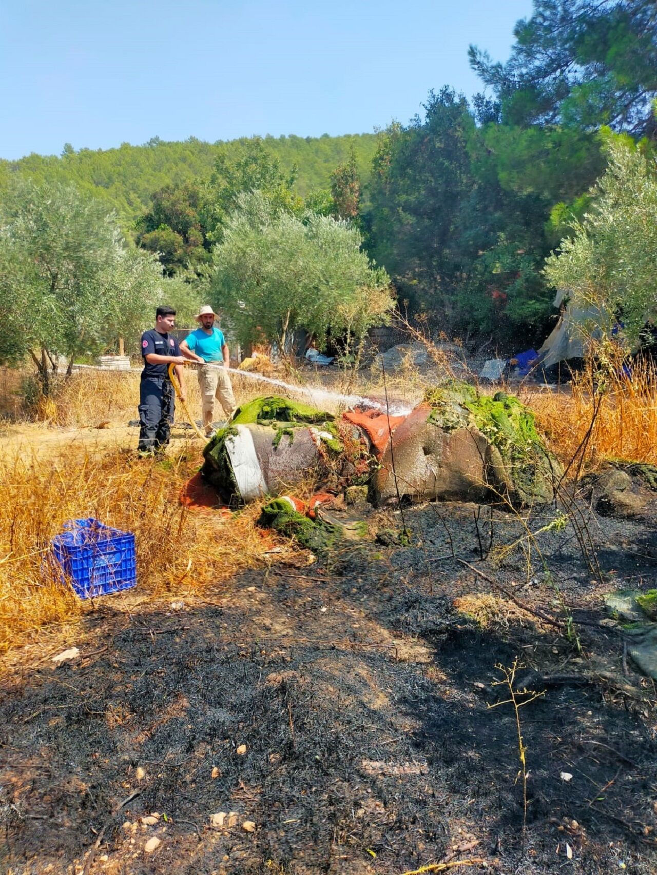 Kumluca’da Çıkan Yangında Bir Dönüm Zeytinlik Alan Yand (3)