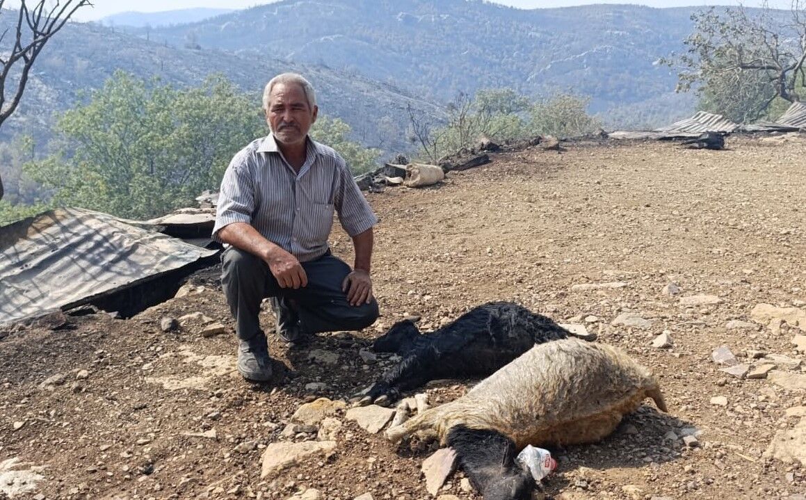 Mersin'de Orman Yangınında Evler Yandı, Hayvanlar Telef Oldu (4)