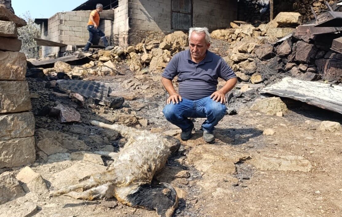 Mersin'de Orman Yangınında Evler Yandı, Hayvanlar Telef Oldu (5)