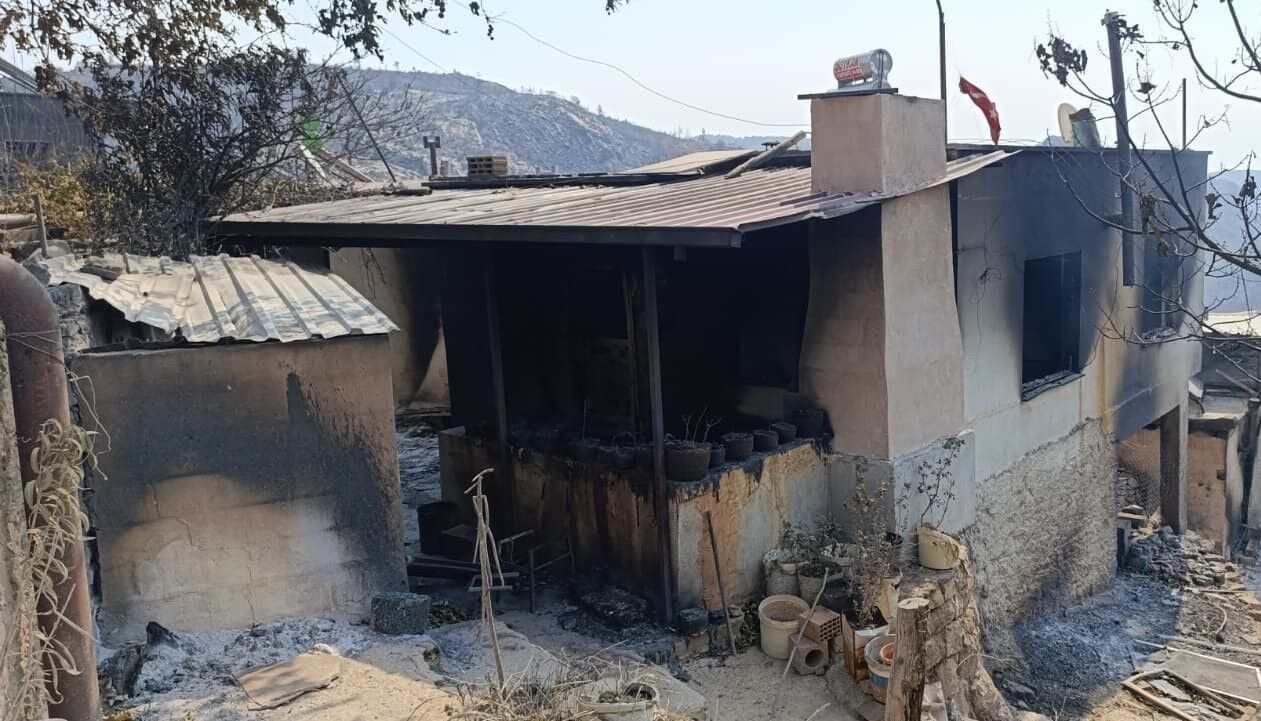 Mersin'de Orman Yangınında Evler Yandı, Hayvanlar Telef Oldu (7)