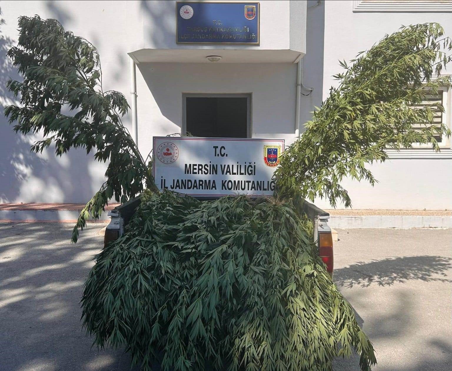 Mersin'de Uyuşturucu Operasyonu 8 Gözaltı (2)