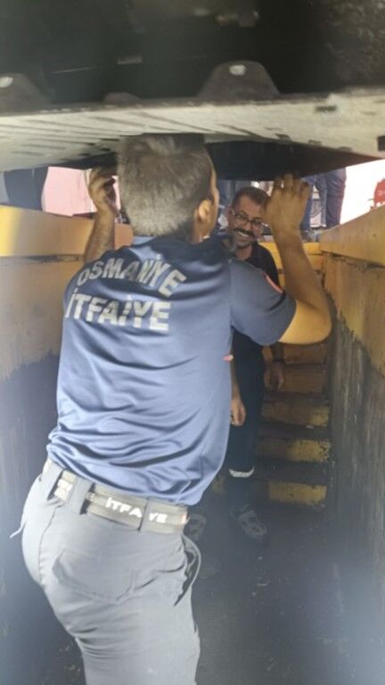 Osmaniye’de Bagajda Mahsur Kalan 5 Kedi Yavrusu Kurtarıldı (3)