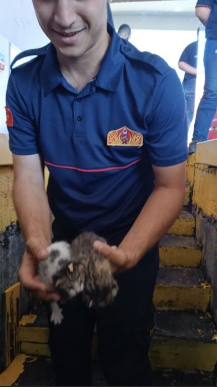 Osmaniye’de Bagajda Mahsur Kalan 5 Kedi Yavrusu Kurtarıldı (4)