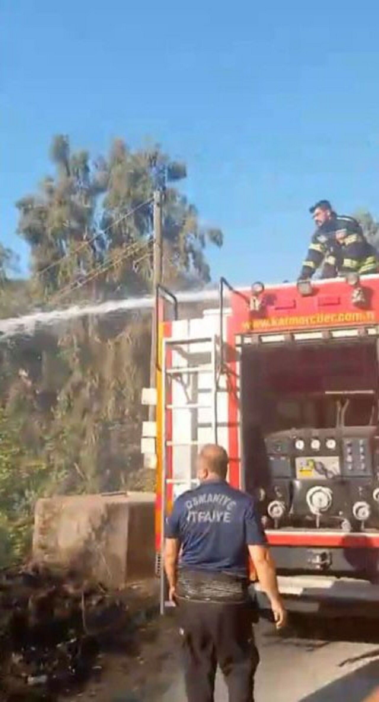 Osmaniye'de Çıkan Orman Yangınından Etkilenen Kaplumbağa Kurtarıldı (3)