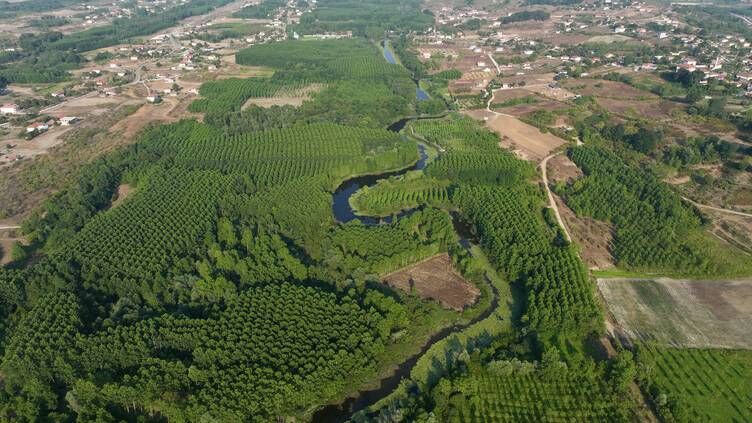 Sakarya’da Acarlar Longozu Ziyaretçi Rekoru Kırıyor (5)