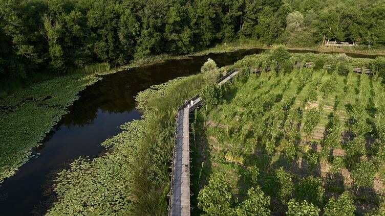 Sakarya’da Acarlar Longozu Ziyaretçi Rekoru Kırıyor (6)