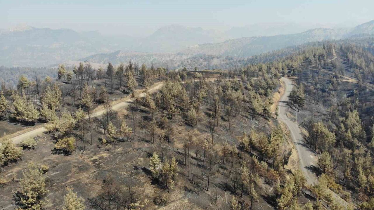 Tema Vakfı Kahramanmaraş'ı Görmezden Geldi! (2)-1