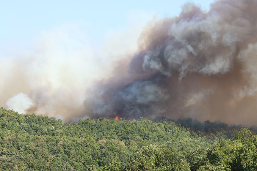 Türkiye’nin Dört Bir Yanında Orman Yangınlarıyla Mücadele Sürüyor (10)
