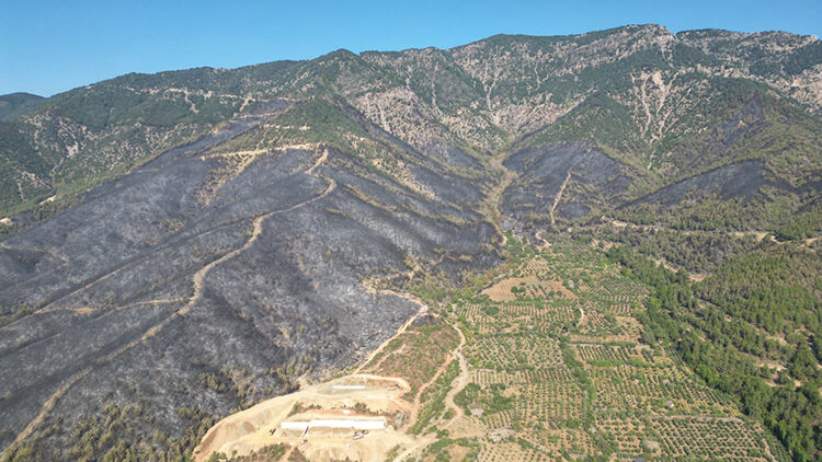 Türkiye’nin Dört Bir Yanında Orman Yangınlarıyla Mücadele Sürüyor (2)
