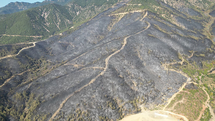 Türkiye’nin Dört Bir Yanında Orman Yangınlarıyla Mücadele Sürüyor (3)