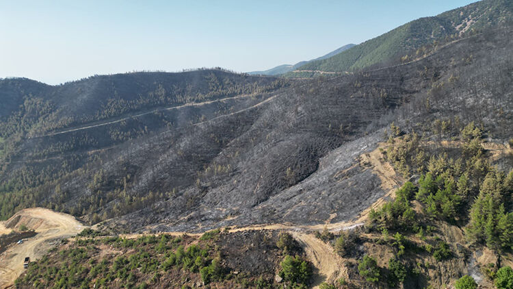 Türkiye’nin Dört Bir Yanında Orman Yangınlarıyla Mücadele Sürüyor (4)
