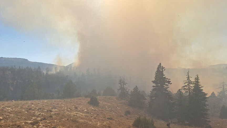 Türkiye’nin Dört Bir Yanında Orman Yangınlarıyla Mücadele Sürüyor (8)