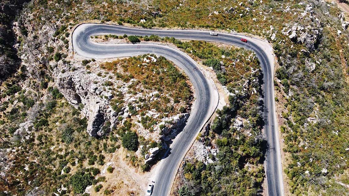 Yanan Ormanlar Yeniden Yeşeriyor Doğa Canlanıyor (4)