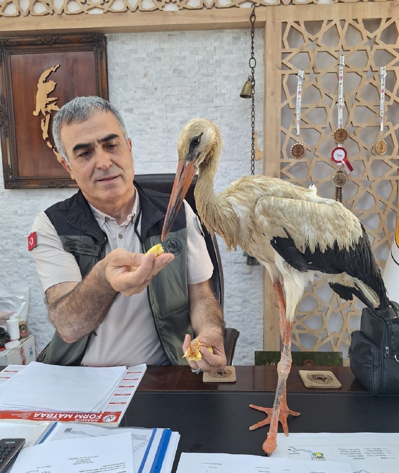 Yangından Kaçan Yaralı Leylek Koruma Altına Alındı (1)