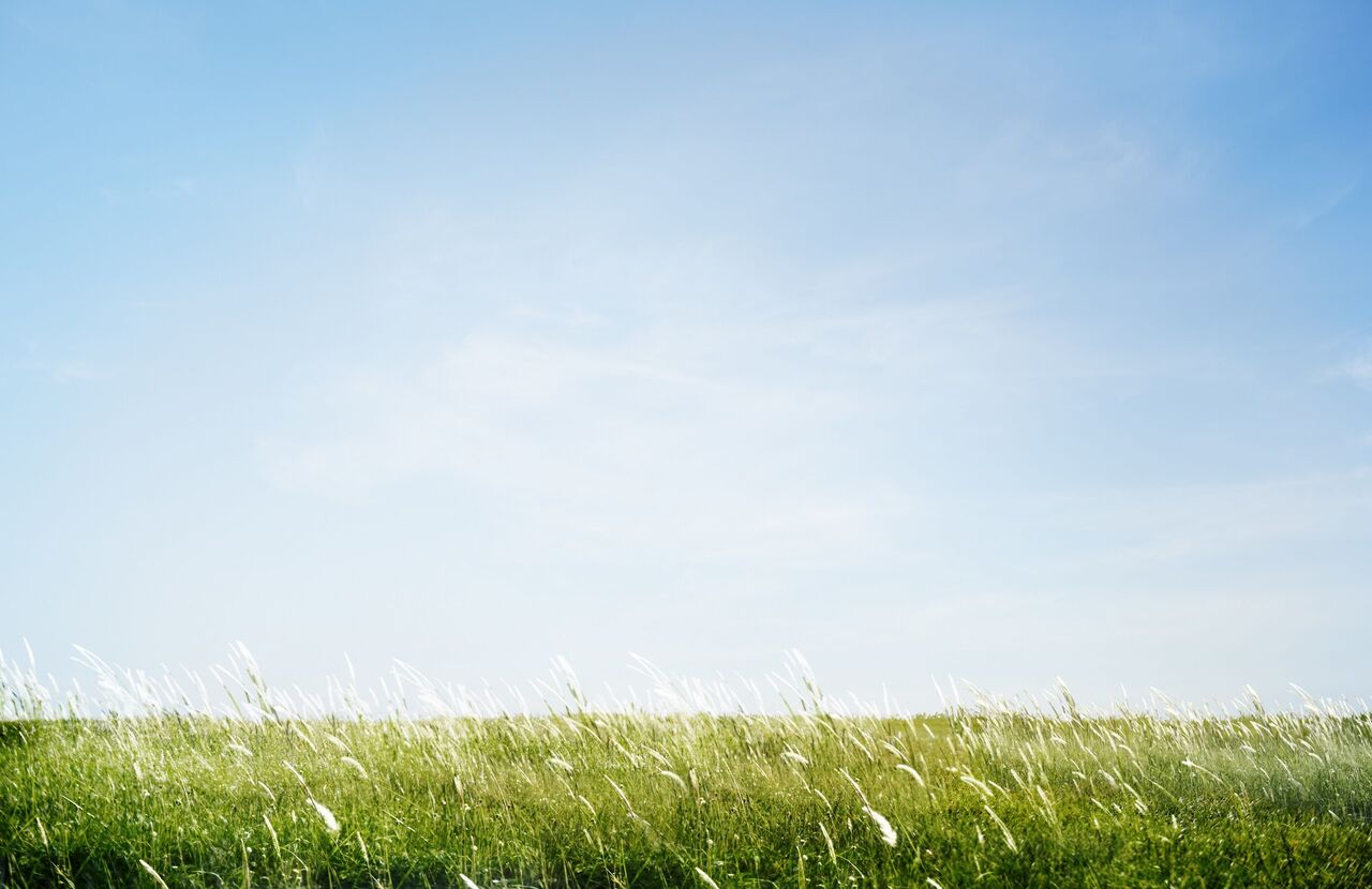 Yaz Ayı Uzuyor Mu Eylül Artık Yaz Ayı Mı Olacak (4)