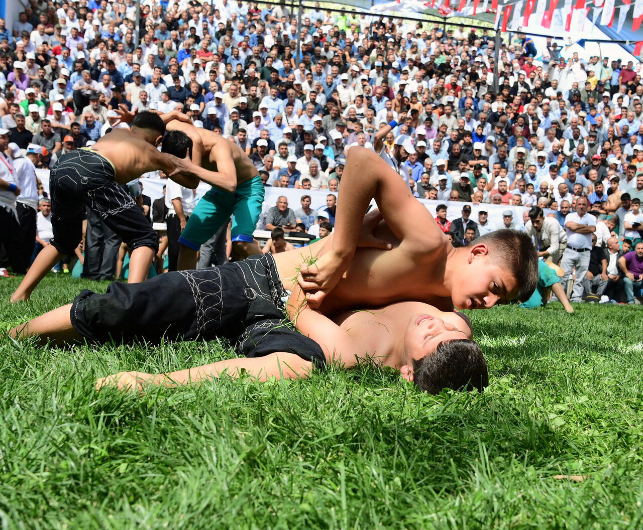 Bertiz Boyalı Güreş Festivali (5)