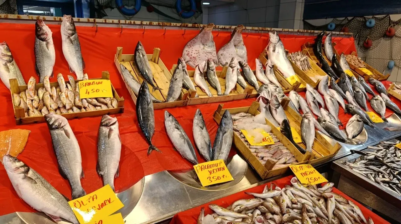 En Sağlıklı Balık Listesi Açıklandı! İşte Uzmanların ‘Altın Değerinde’ Önerdiği Türler (1)