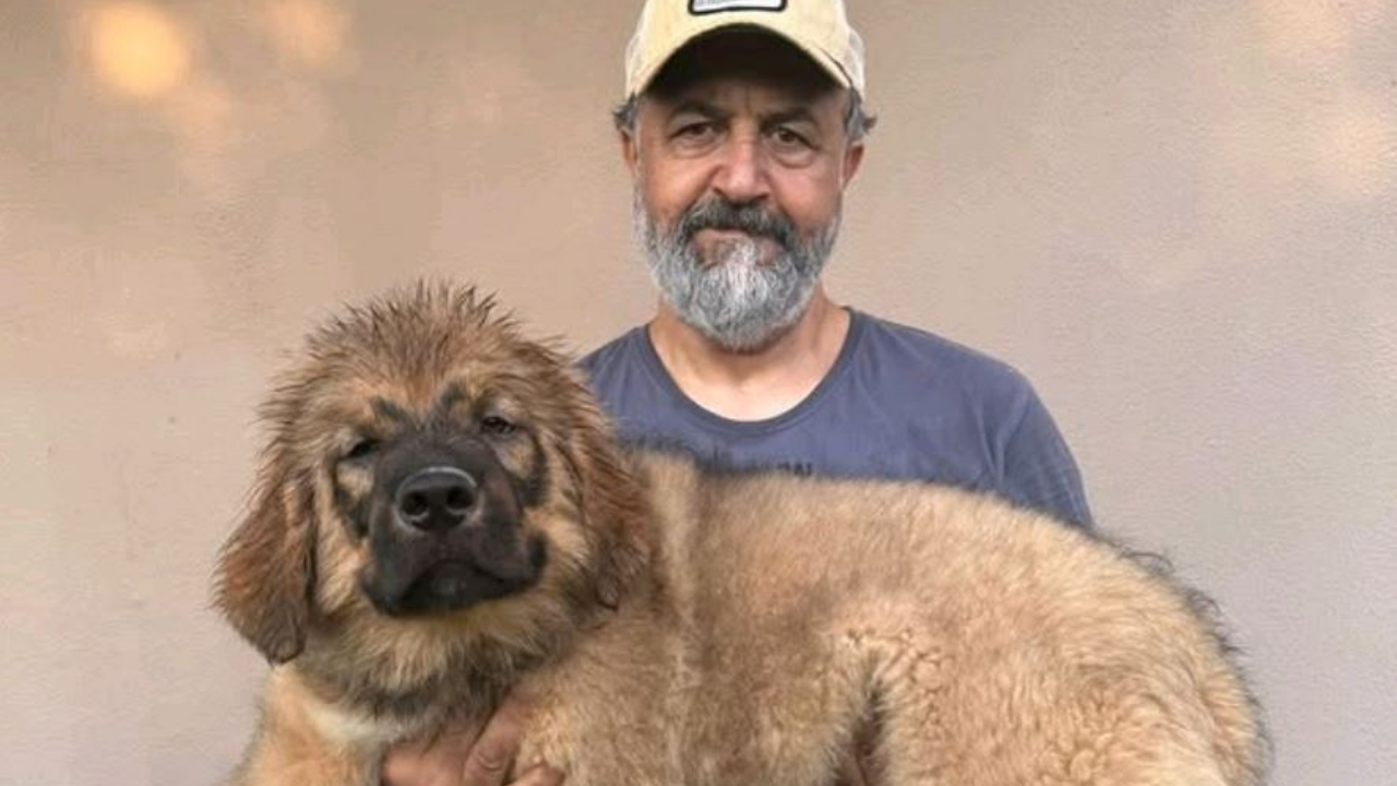 Gözleri Karadeniz’in Osman’ı Mehmet Özgür Kimdir Kaç Yaşında Ve Hangi Dizilerde Rol Aldı (1)