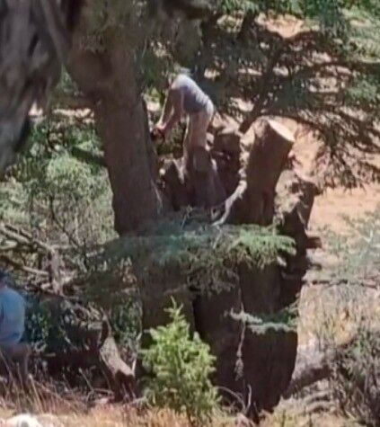 Kahramanmaraş’ta Ormanlık Alanda Ağaç Kesen 2 Kişi Yakalandı (1)