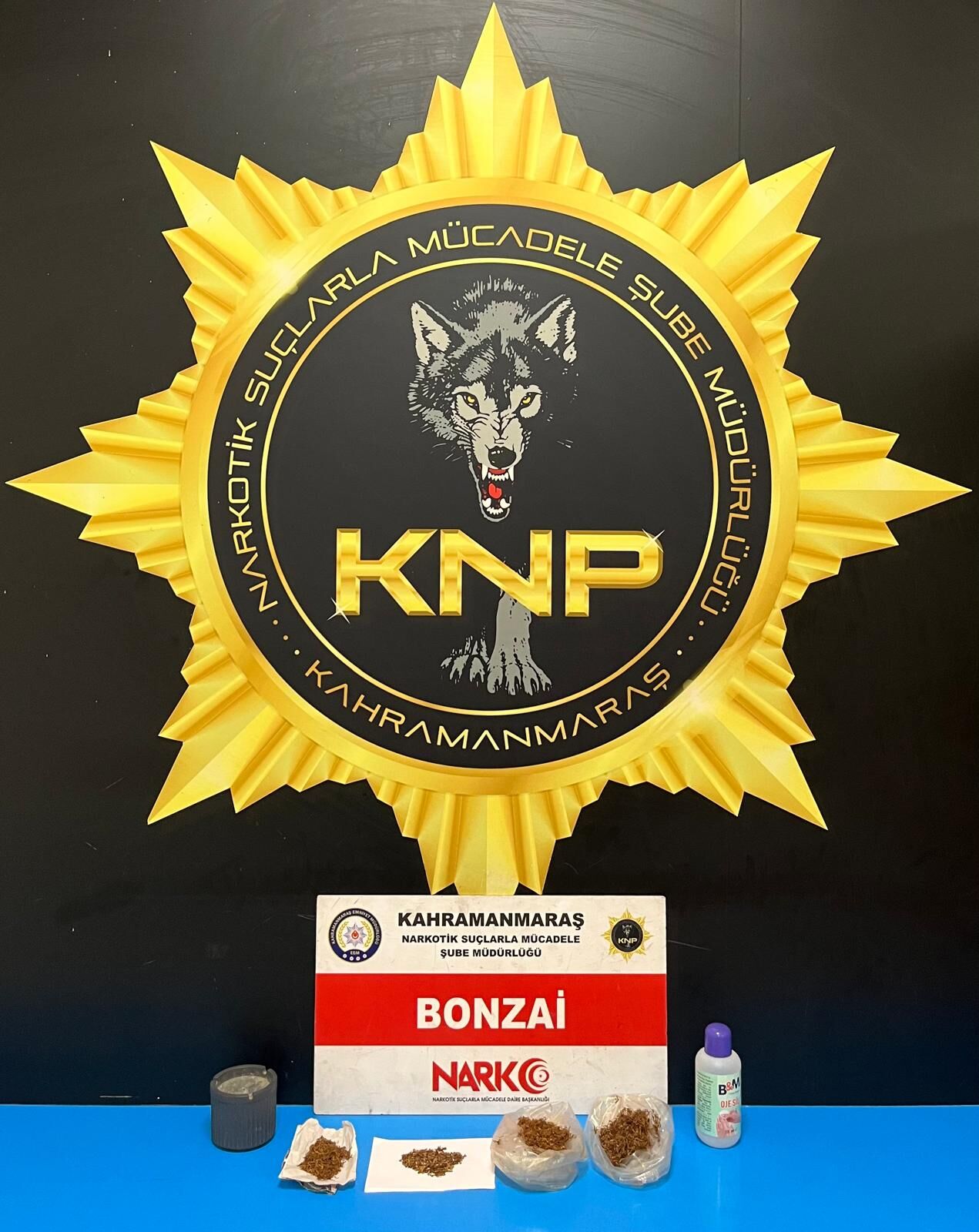 Kahramanmaraş’ta Suçlulara Ağır Darbe 79 Gözaltı, 46 Tutuklama (3)