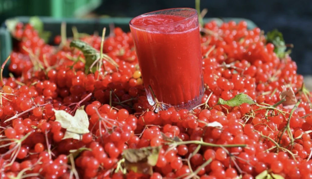 Türkiye’den Başka Bir Yerde Bulamayacağınız 9 Eşsiz İçecek (2)-1