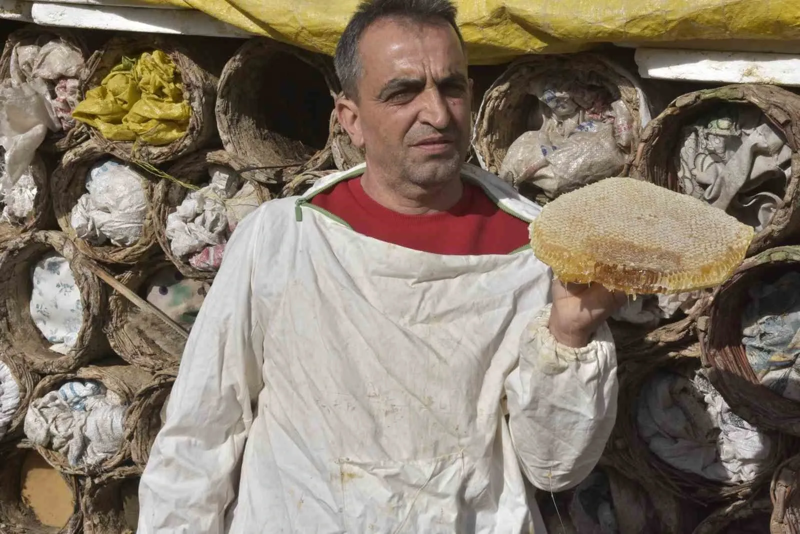 346692754 1761635373