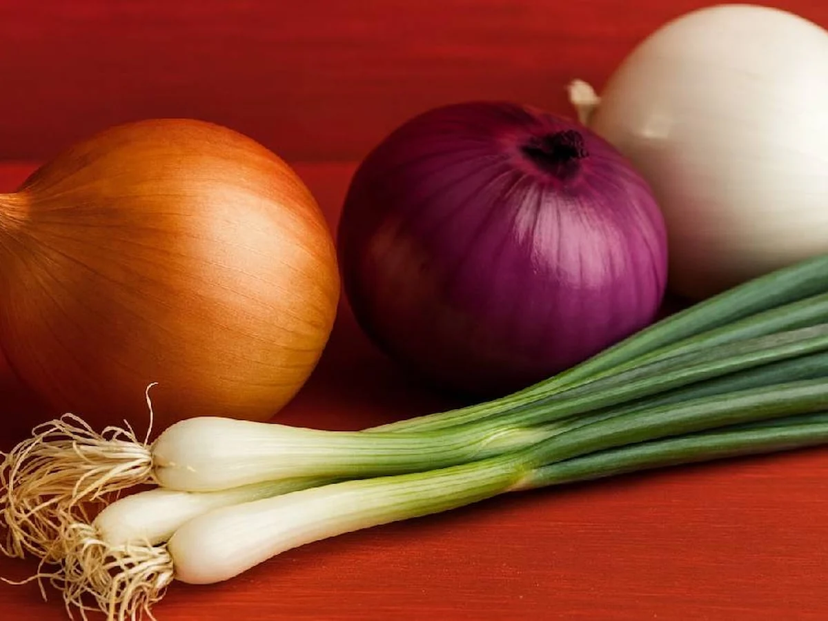Beyaz, Sarı, Mor Veya Yeşil En Sağlıklı Soğan Türü Belli Oldu (1)-1