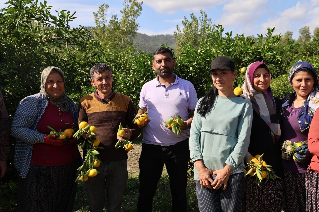 En Ucuz Meyve Mandalina Bahçede 8 Tl'ye Kadar Düştü (2)