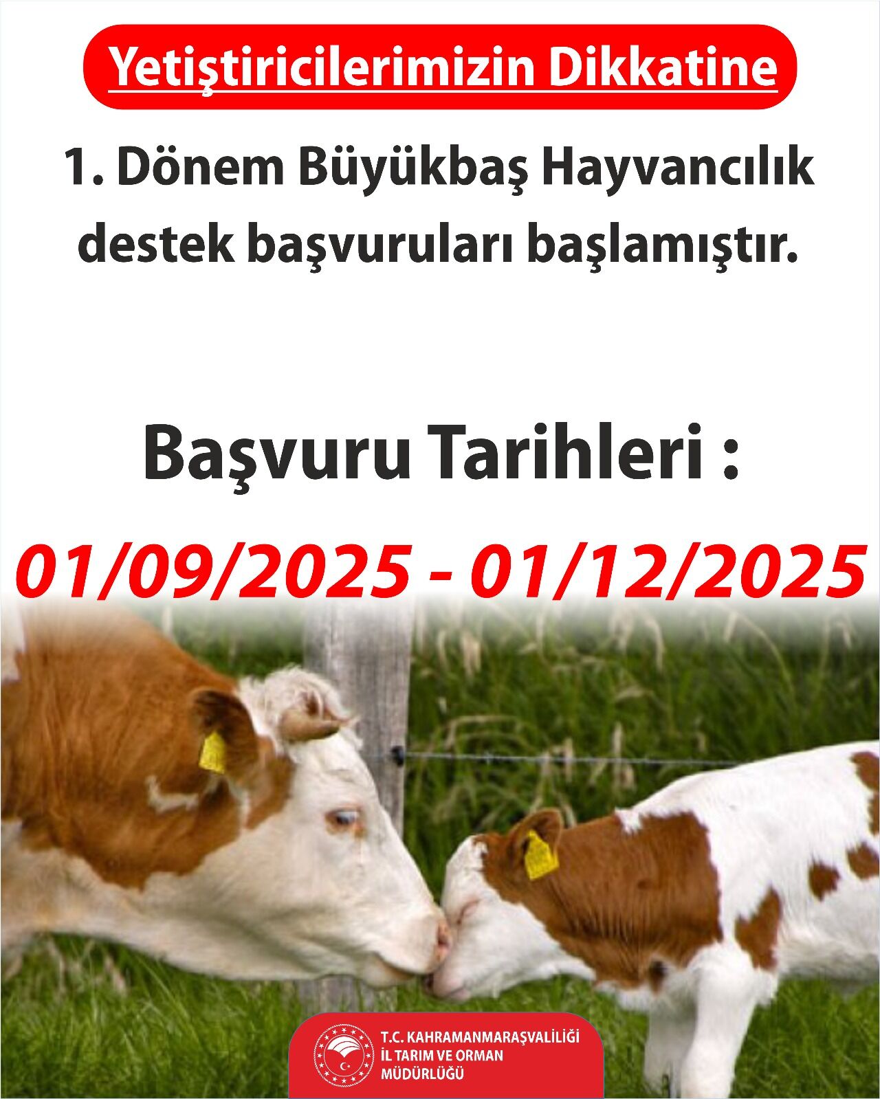 G2 Jjx Y Xs A Akj Xp