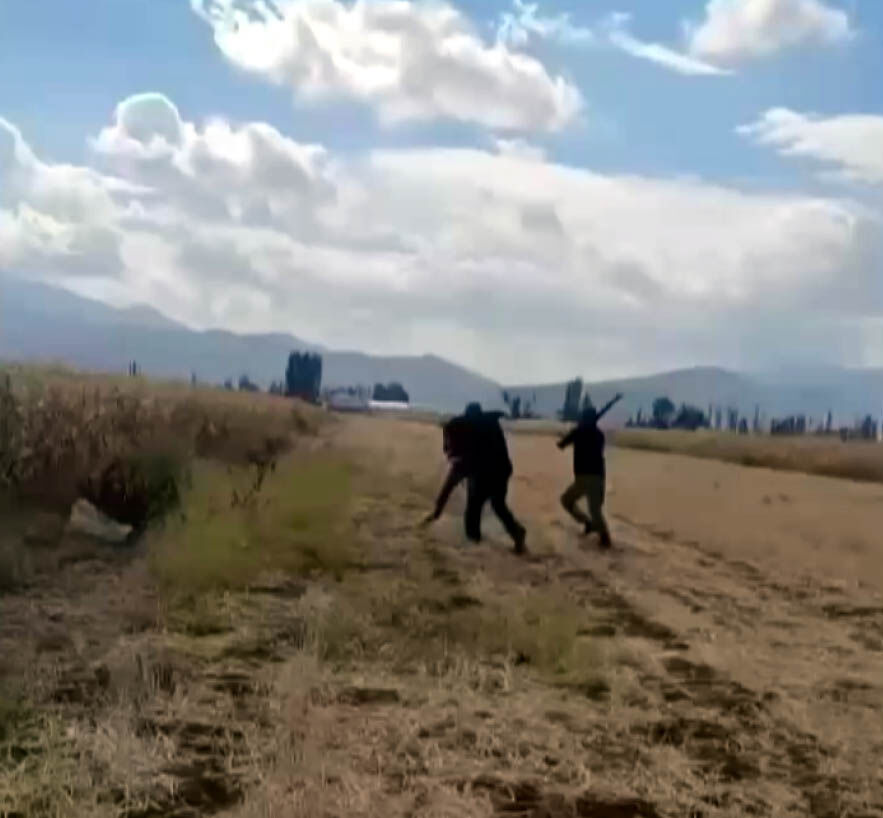 K I Z I N I N G O Z U O N U N D E D O V U L D U O A N L A R K A M 964270 286360