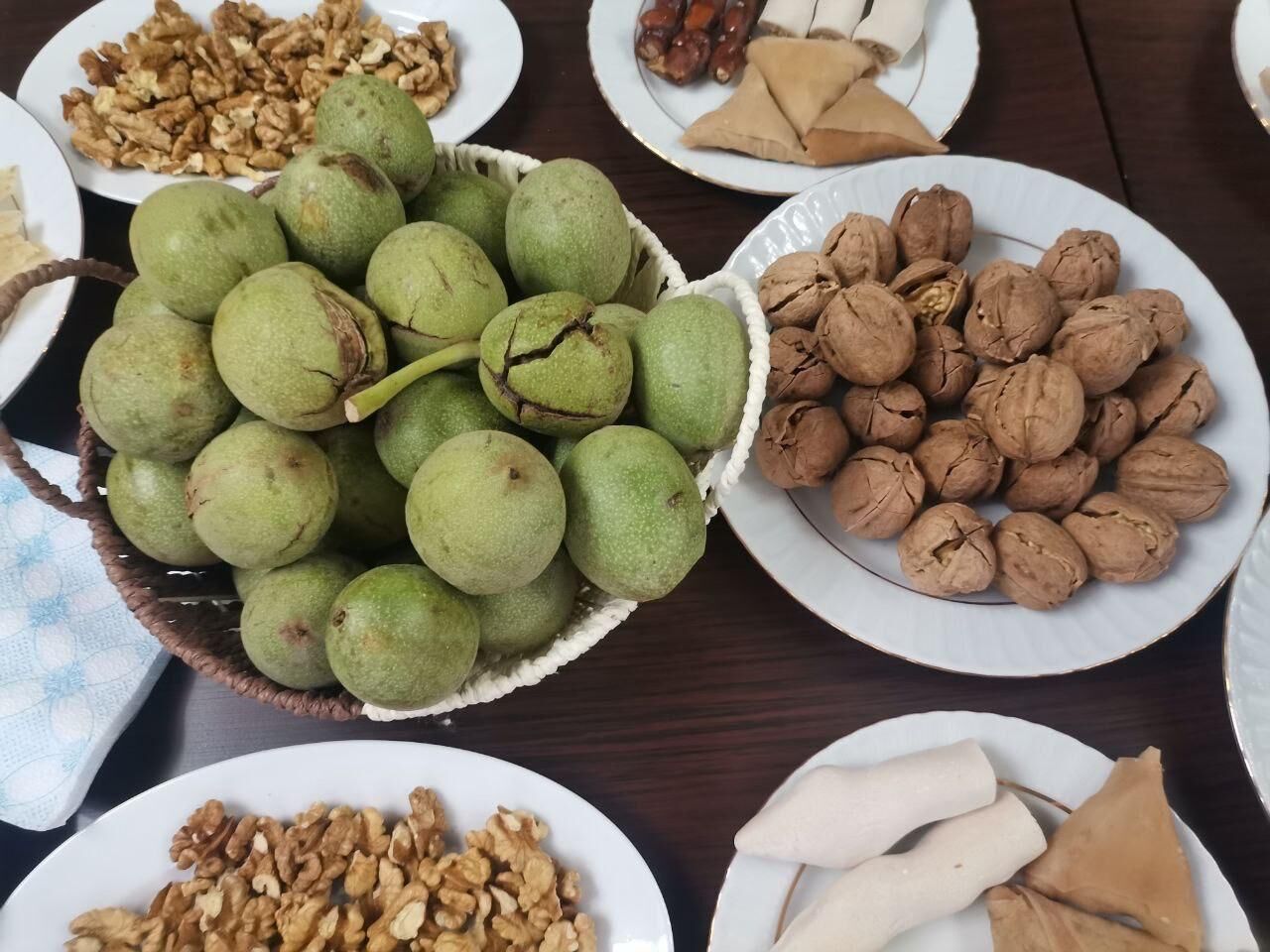 Kahramanmaraş’ta Coğrafi Tescilli Ceviz Hasadı Başladı (4)