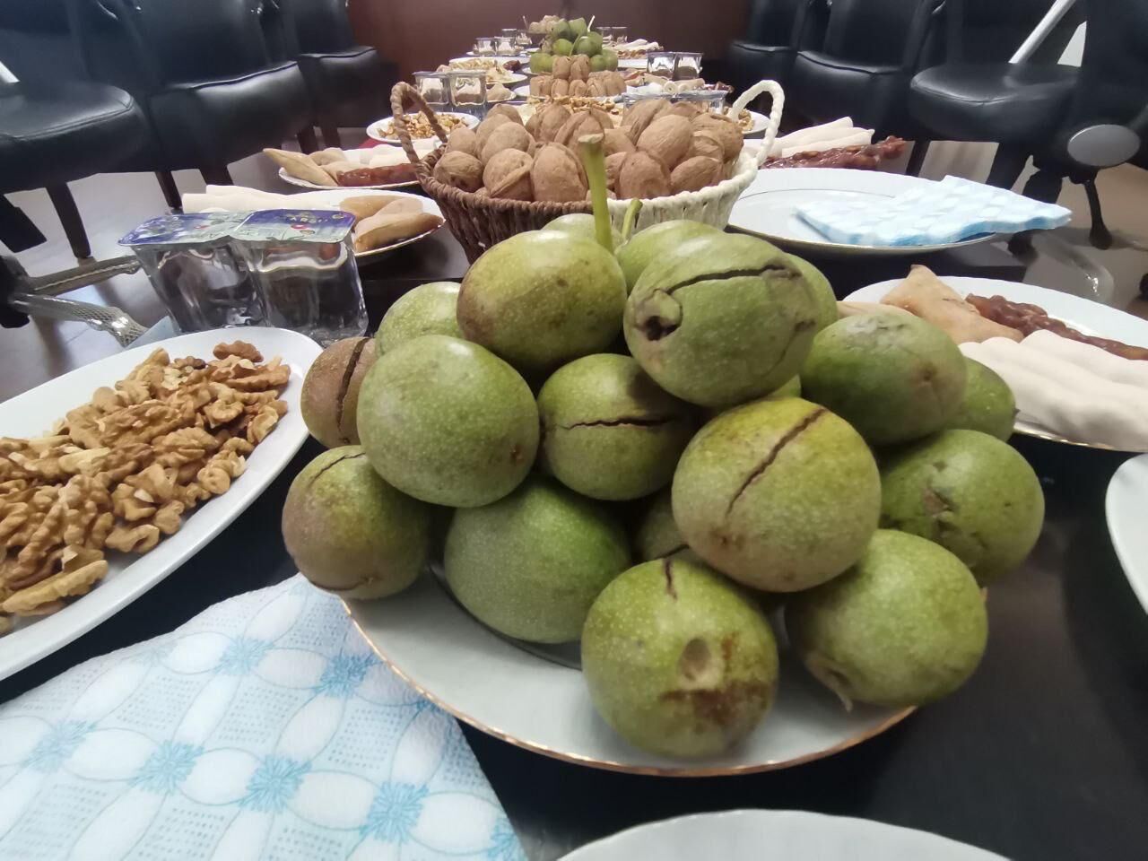 Kahramanmaraş’ta Coğrafi Tescilli Ceviz Hasadı Başladı (5)