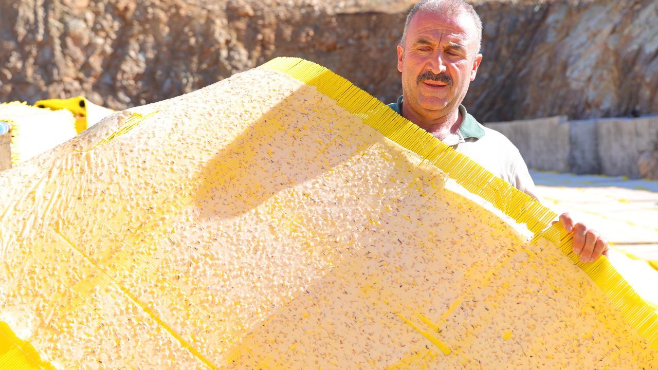 Tescilli Maraş Tarhanasında Yoğun Mesai Sezon Sona Eriyor (5)