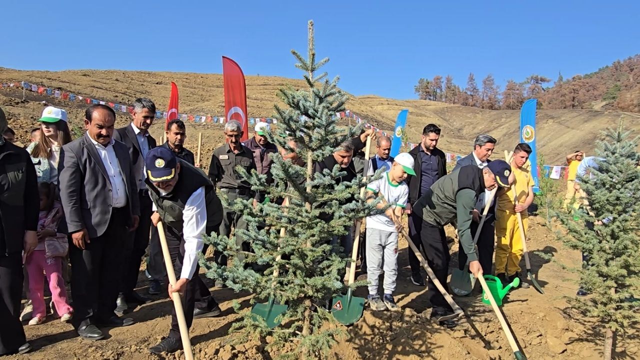 Kahramanmaraş’ta Ak Parti Teşkilatı Yanan Alanları Yeniden Ağaçlandırdı (2)